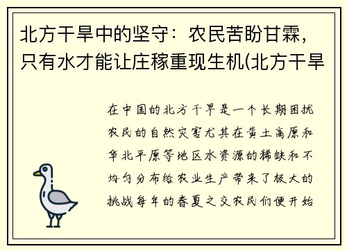北方干旱中的坚守：农民苦盼甘霖，只有水才能让庄稼重现生机(北方干旱地区)