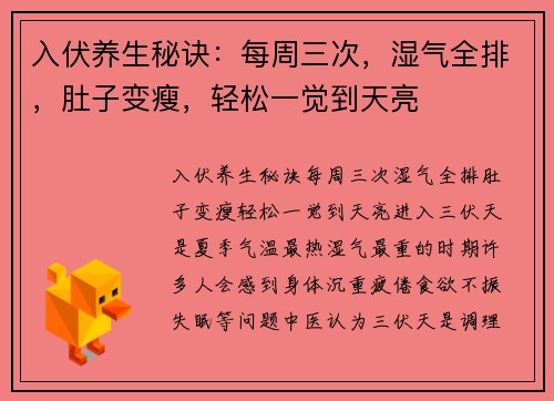 入伏养生秘诀：每周三次，湿气全排，肚子变瘦，轻松一觉到天亮